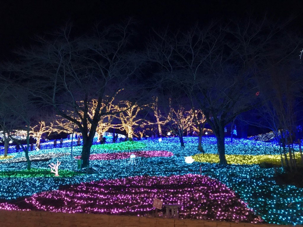 🌳 오가키 공원 (Ogaki Park) 이미지 10